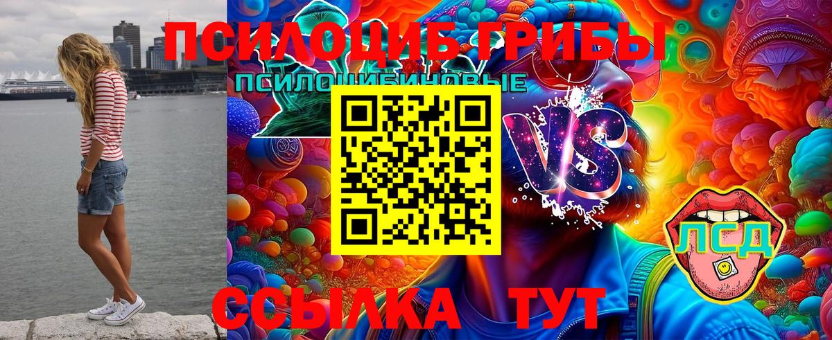 Псилоцибиновые грибы мухоморы  Вход с VPN  Зеленокумск 