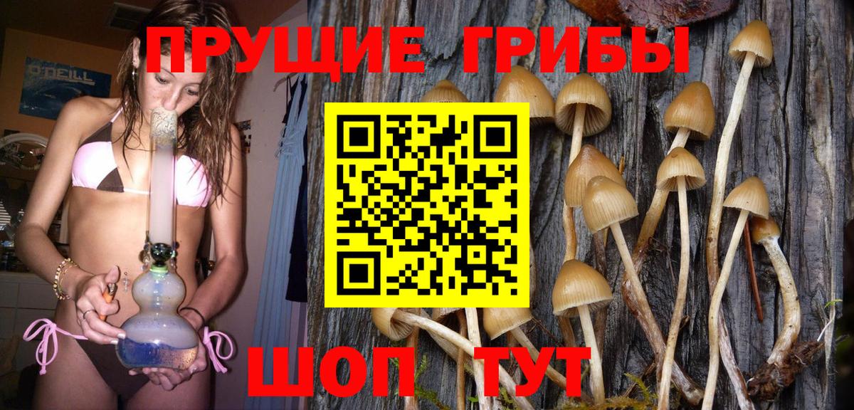 Псилоцибиновые грибы ЛСД Зеленокумск